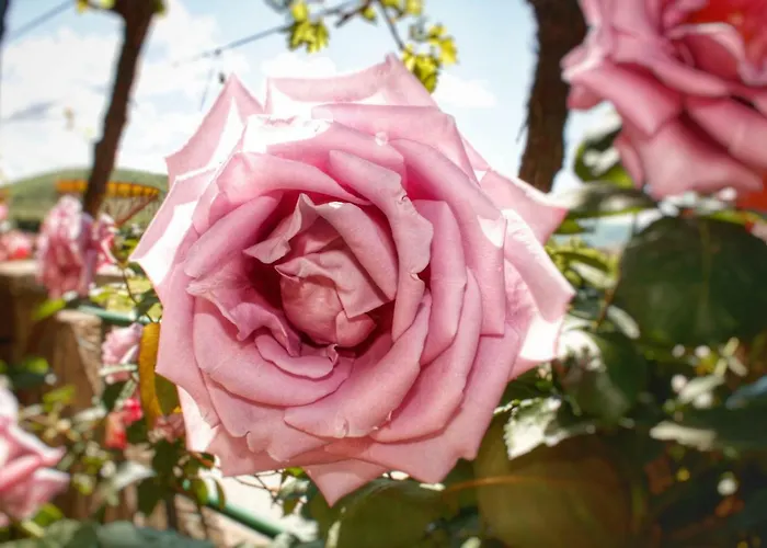 S.kilaci Aparthotel 3*